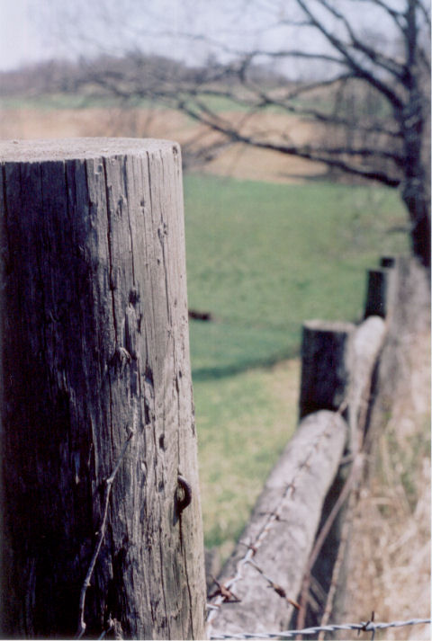 fence